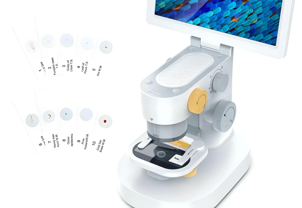 microscope with screen